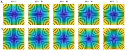 Commentary: Atrial Rotor Dynamics Under Complex Fractional Order Diffusion